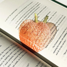 Load image into Gallery viewer, Creative Acrylic Translucent Fruit Bookmark High Aesthetic Refractive Color Page Marker Perfect Reading Accessory Gift

