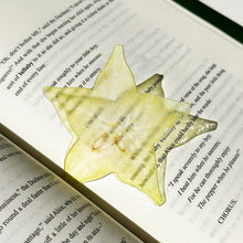 Load image into Gallery viewer, Creative Acrylic Translucent Fruit Bookmark High Aesthetic Refractive Color Page Marker Perfect Reading Accessory Gift
