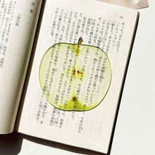 Load image into Gallery viewer, Creative Acrylic Translucent Fruit Bookmark High Aesthetic Refractive Color Page Marker Perfect Reading Accessory Gift
