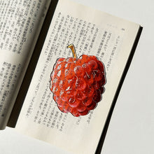 Load image into Gallery viewer, Creative Acrylic Translucent Fruit Bookmark High Aesthetic Refractive Color Page Marker Perfect Reading Accessory Gift
