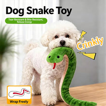 Load image into Gallery viewer, Vivid Snake Shaped Dog Chew Toy Soundable Interactive Molar Plush Toy Relieve Boredom Pet Entertainment Supplies
