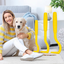 Load image into Gallery viewer, 3 Pcs Pet Flea Remover Tool Set Multifunctional Insect Removal Tweezers For Cats Dogs Pet Grooming Cleaning

