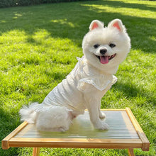 Load image into Gallery viewer, Summer Thin Mesh Pet Clothes Bow Flying Sleeve Shirt Hoodie Anti Mosquito Anti Shedding Costume Clothes For Small Dogs Puppy Kitten
