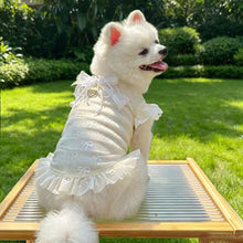 Load image into Gallery viewer, Summer Thin Mesh Pet Clothes Bow Flying Sleeve Shirt Hoodie Anti Mosquito Anti Shedding Costume Clothes For Small Dogs Puppy Kitten
