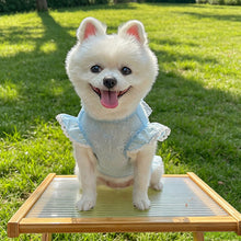 Load image into Gallery viewer, Summer Thin Mesh Pet Clothes Bow Flying Sleeve Shirt Hoodie Anti Mosquito Anti Shedding Costume Clothes For Small Dogs Puppy Kitten
