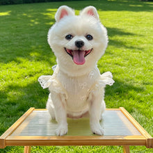 Load image into Gallery viewer, Summer Thin Mesh Pet Clothes Bow Flying Sleeve Shirt Hoodie Anti Mosquito Anti Shedding Costume Clothes For Small Dogs Puppy Kitten
