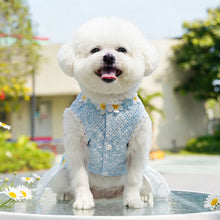 Load image into Gallery viewer, Summer Floral Printed Mesh Lace Pet Dress With Bow Cute Flower Puppy Kitty Costume Clothes For Small Dogs Cats
