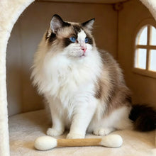Load image into Gallery viewer, Giant Wool Cotton Swab Shaped Catnip Toy Durable Teeth Grinding Chew Stick Interactive Kitten Self Play Accessory
