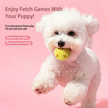 Load image into Gallery viewer, Pet Squeaky Spike Hedgehog Plush Dog Ball Bouncy Crinkle Chew Resistant Puppy Toy For Small Dogs
