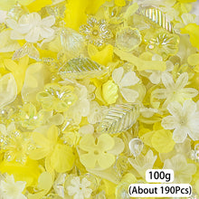 Load image into Gallery viewer, 20g/100g Petal Leaf Beads Star Butterfly Round Spacer Beads For DIY Bracelet Keychain Sewing Jewelry Supplies
