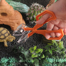 Load image into Gallery viewer, Reptile Feeding Tongs Long Handle Capture Tweezers for Lizards Geckos Spiders Non-Slip Rounded Tip for Crickets Roaches Pet Feeder Tool &amp; Poop Cleaner

