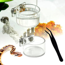 Load image into Gallery viewer, Spider Feeding Dish Set Magnetic Water Bowl &amp; Feeding Tongs for Jumping Spider Enclosure Tip-Proof Removable Accessory for Reptile Terrarium Small Pets
