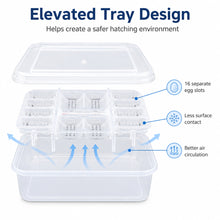 Load image into Gallery viewer, 16-Cell Reptile Egg Incubation Tray Clear Hatching Container for Gecko Snake Lizard Eggs Observable Breeding Kit for Home Breeder
