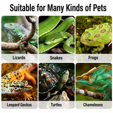Load image into Gallery viewer, Reptile Shedding Oil Prevents Stuck Shed, Softening Liquid for Gecko Crested Bearded Dragon Lizard Snake Skin Nutrient &amp; Molting Aid for Terrarium Pet

