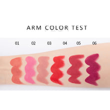 Load image into Gallery viewer, Matte Lipstick 6 Colors Optional Velvet Finish Long Lasting Waterproof Smudge Proof Nude Red Pink Brown Natural Day Night Makeup
