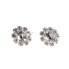 Load image into Gallery viewer, 1 Pair New Fashion Women Silver Elegant Crystal Rhinestone Ear Stud Earrings
