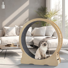 Load image into Gallery viewer, Cat Exercise Wheel - Indoor Cat Treadmill with Carpeted Running Track, Safety Cat Treadmill with Latch, Weighted Wheel for Cats, Add Fun to Cat Exercise, Natural Wood Color,35.8"L x 12.6"W x 38.2"H
