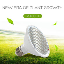 Load image into Gallery viewer, E27 200LED Plant Grow Light Red Blue Hydroponic Flower Veg Growing Lamp 24W
