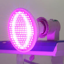 Load image into Gallery viewer, E27 200LED Plant Grow Light Red Blue Hydroponic Flower Veg Growing Lamp 24W
