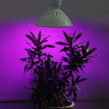 Load image into Gallery viewer, E27 200LED Plant Grow Light Red Blue Hydroponic Flower Veg Growing Lamp 24W
