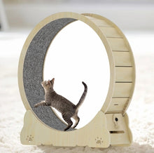 Load image into Gallery viewer, Large Cat Exercise Wheel 40 Inch, Solid Wood Cat Wheel Exerciser for Indoor Cats, Safety Cat Treadmill with Lock &amp; Minimized Gap Design
