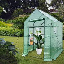 Load image into Gallery viewer, Mini Walk-in Greenhouse Indoor Outdoor -2 Tier 8 Shelves- Portable Plant Gardening Greenhouse (56L x 56W x 76H Inches), Grow Plant Herbs Flowers Hot House
