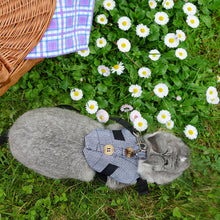 Load image into Gallery viewer, Multipurpose Rabbits Vest Gray Plaid Rabbit Harness and Leash Cotton Rabbit Collar Straps Pet Traction Rope for Bunny S/M/L
