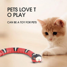Load image into Gallery viewer, Smart Sensing Interactive Cat Toys Automatic Eletronic Snake Cat Teasering Play USB Rechargeable Kitten Toys for Cats Dogs Pet
