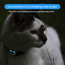 Load image into Gallery viewer, 4G GPS Pet Tracker Intelligent Anti-Lost Tracker Locator Smart Dog / Cat Collar Waterproof USB Charging
