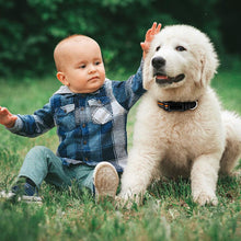 Load image into Gallery viewer, Universal 4G Smart GPS Tracking Collar Pet Dog Locator Waterproof GPS Location Collar APP Control
