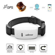 Load image into Gallery viewer, TKSTAR Universal Intelligent GPS Pet Dog Tracker Locator Anti-fall Cat Tracker Collar With GPS Positioning Geofence APP Control

