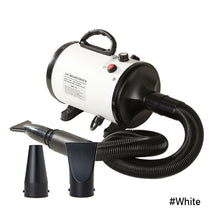 Load image into Gallery viewer, Hair Dryer For Dogs Pet Cat Dog Grooming Blower Warm Wind Secador Fast Blow-Dryer For Small Medium Large Dog Dryer
