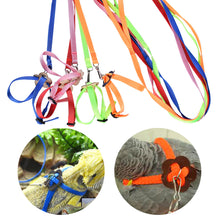 Load image into Gallery viewer, 8-shaped Bird Harness Leash Parrot Bird Hamster Turtle Lizard Traction Rope Reins Pet Strap Leash Parrot Vest Rope
