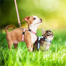 Load image into Gallery viewer, Adjustable Soft Polyester Rabbit Harness Leash Guinea Pig Lead Rope Pet Chinchilla Leash for Small Pet Traction Rope Running Walking
