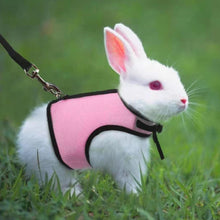 Load image into Gallery viewer, Breathable Pet Rabbit Mesh Soft Harness With Leash For Small Animals Bunny Guinea Pigs Chinchillas Ferrets Walking Leash

