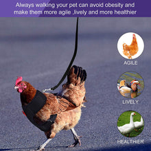 Load image into Gallery viewer, Breathable Mesh Chicken Duck Vest Leashes Poultry Hen Pet Harness With Matching Training for Walking Duck Goose Hen Rooster
