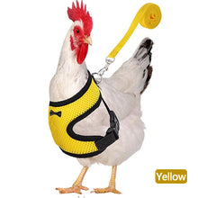 Load image into Gallery viewer, Breathable Mesh Chicken Duck Vest Leashes Poultry Hen Pet Harness With Matching Training for Walking Duck Goose Hen Rooster
