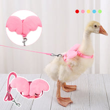 Load image into Gallery viewer, Breathable Rabbit Duck Cat Leash With Wings Poultry Hen Pet Harness With Matching Training for Walking Duck Goose
