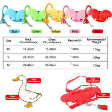 Load image into Gallery viewer, Breathable Rabbit Duck Cat Leash With Wings Poultry Hen Pet Harness With Matching Training for Walking Duck Goose
