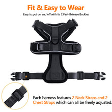 Load image into Gallery viewer, Breathable Cat Harness and Leash Set Pet Harness Vest Mesh Chest Belt Collar For Cats Dogs Rabbits Small Animals
