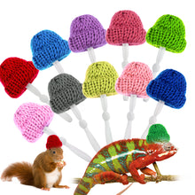 Load image into Gallery viewer, Hamster Hat Guinea Pig Hat Chinchilla Ferret Hedgehogs Rats Pet Hats for Small Animal Outfit Suit Cosplay Small Pet Decoration

