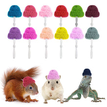Load image into Gallery viewer, Hamster Hat Guinea Pig Hat Chinchilla Ferret Hedgehogs Rats Pet Hats for Small Animal Outfit Suit Cosplay Small Pet Decoration
