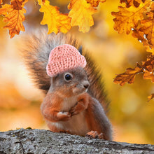 Load image into Gallery viewer, Hamster Hat Guinea Pig Hat Chinchilla Ferret Hedgehogs Rats Pet Hats for Small Animal Outfit Suit Cosplay Small Pet Decoration
