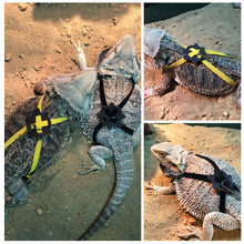 Load image into Gallery viewer, Reptile Training Leash Rope Harness Turtle Lizard Traction Rope Reptile Leash Bearded Dragon Anti-Bite Harness Leash Small Pet Supplies
