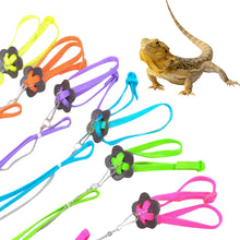 Load image into Gallery viewer, Reptile Training Leash Rope Harness Turtle Lizard Traction Rope Reptile Leash Bearded Dragon Anti-Bite Harness Leash Small Pet Supplies
