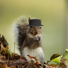 Load image into Gallery viewer, Pet Rabbit Guinea Pig Hamster Hedgehog Lizard Hat With Bow Tie Small Animal Top Hat Pet Costume Headgear
