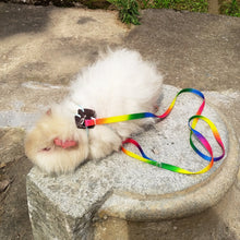 Load image into Gallery viewer, 1.2M Adjustable Pet Hamster Rabbit Leash Harness Rope Chinchilla Squirrel Guinea Pig Chest Lead Rope Small Pet Supplies
