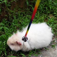 Load image into Gallery viewer, 1.2M Adjustable Pet Hamster Rabbit Leash Harness Rope Chinchilla Squirrel Guinea Pig Chest Lead Rope Small Pet Supplies
