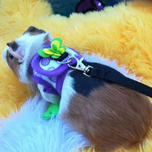 Load image into Gallery viewer, Adjustable Guinea Pig Harness Leash Set Outdoor Traction Rope for Hamster Chinchilla Mice Rat Ferret Rabbit Small Animal Accessories
