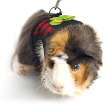 Load image into Gallery viewer, Adjustable Guinea Pig Harness Leash Set Outdoor Traction Rope for Hamster Chinchilla Mice Rat Ferret Rabbit Small Animal Accessories
